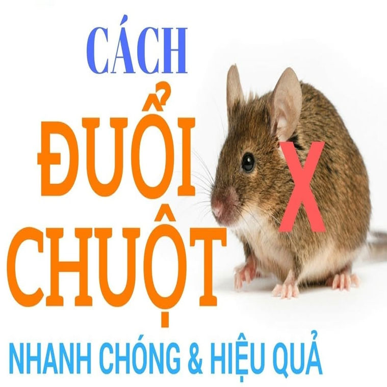 Cach Duoi Chuot Hieu Qua
