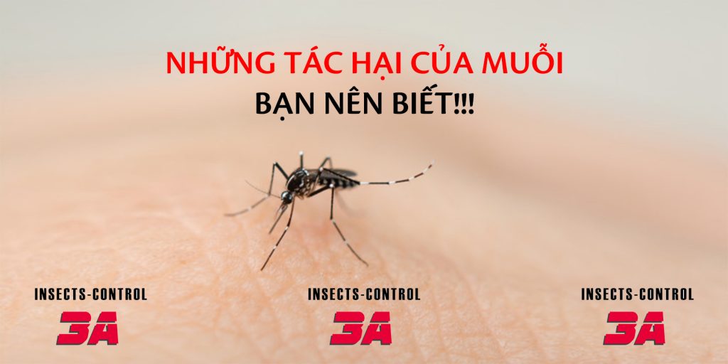 Những tác hạ của loài muỗi