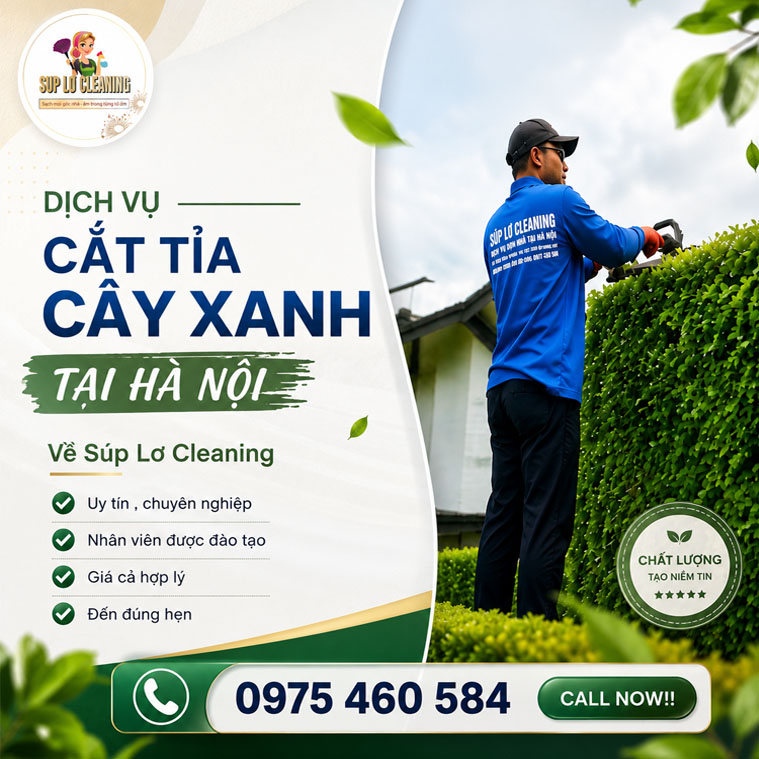 Cat Tia Cay Xanh Tai Ha Noi