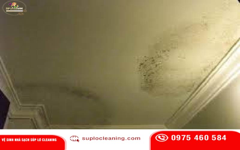 Tác hại khi không xử lý tường mốc Ba Đình kịp thời