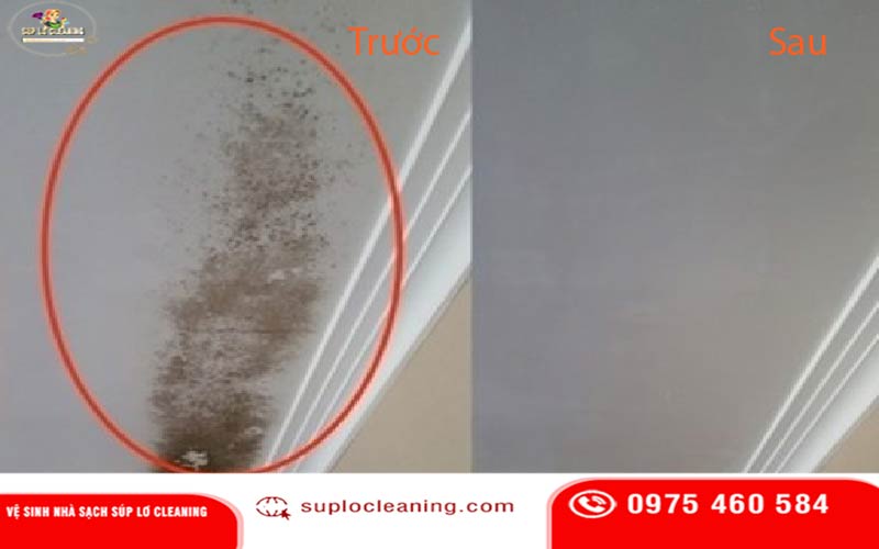 Bảng giá và chất lượng dịch vụ của Súp Lơ cạnh tranh tốt nhất trên thị trường Hà Nội