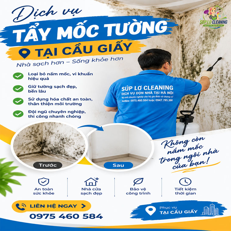 Tẩy Mốc Tường Tại Cầu Giấy – Nhanh ✅ An Toàn