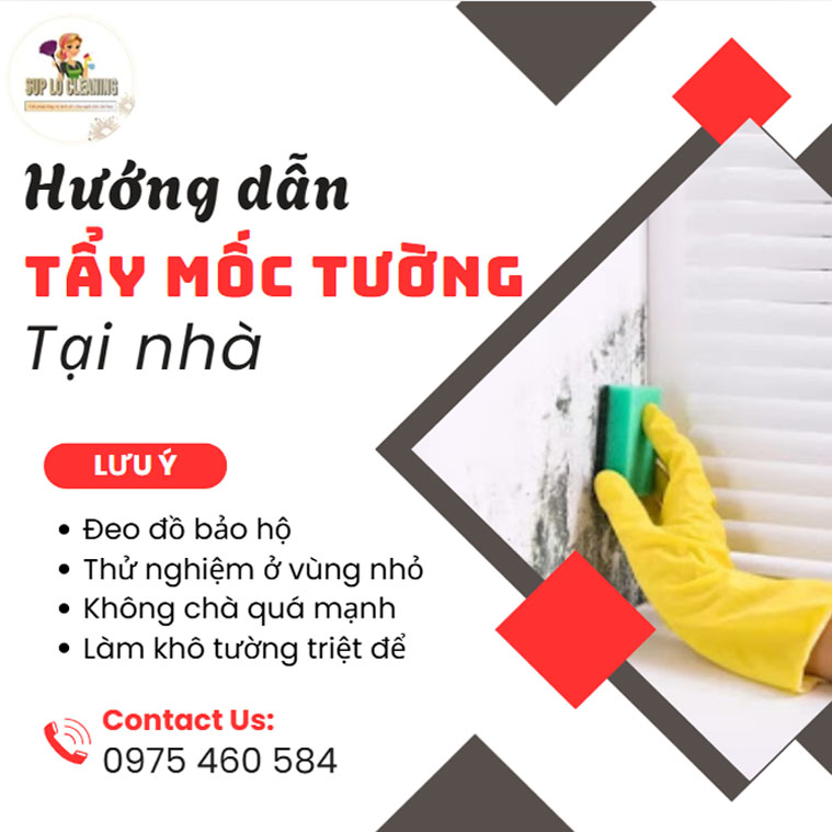 Huong Dan Tay Moc Tuong Tai Nha