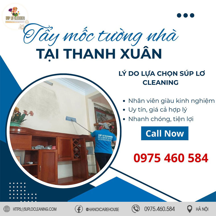 Tay Moc Tuong Nha Tai Thanh Xuan