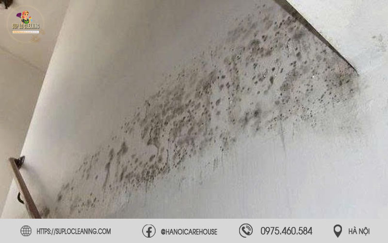 Khi nào nên gọi dịch vụ tẩy mốc tường nhà tại Thanh Xuân