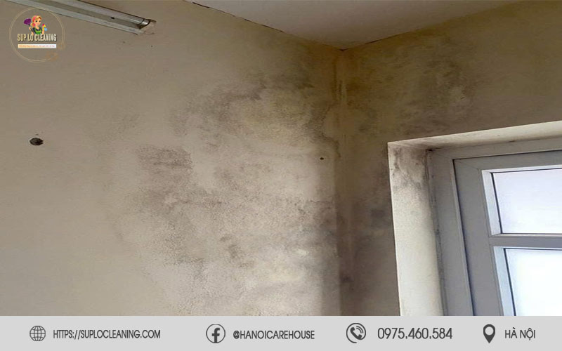 Thực trạng bị mốc Tường nhà tại Thanh xuân