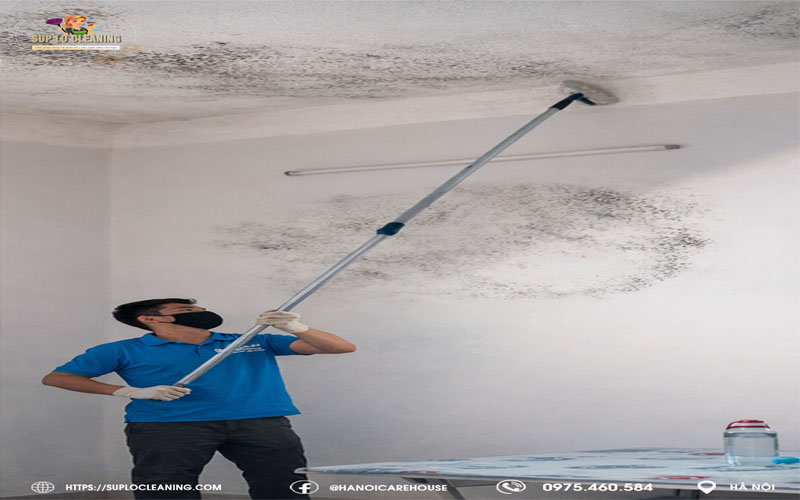 Lý do tường nhà bị nấm mốc do thời tiết nồm ẩm