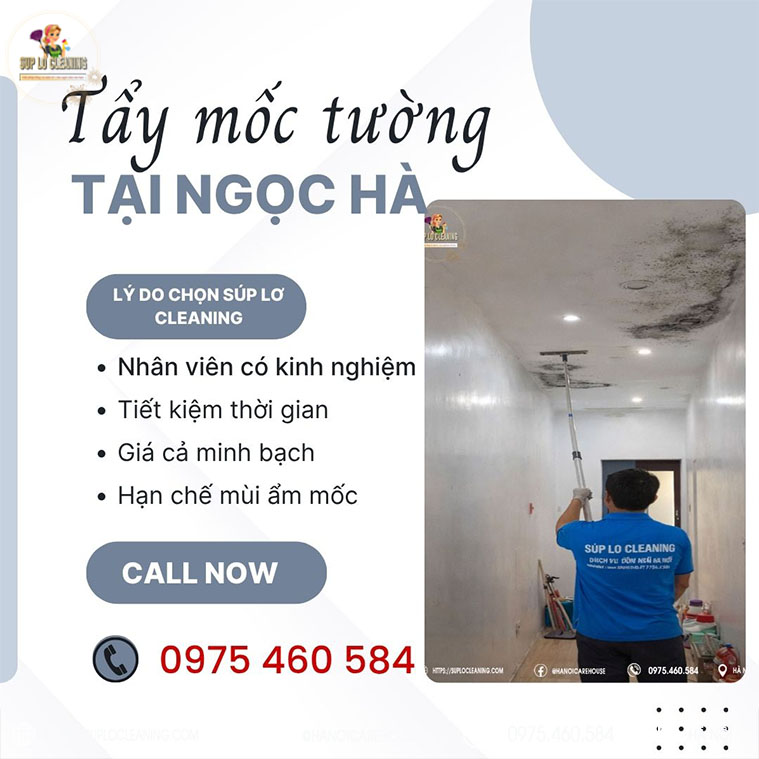 Tay Moc Tuong Tai Ngoc Ha