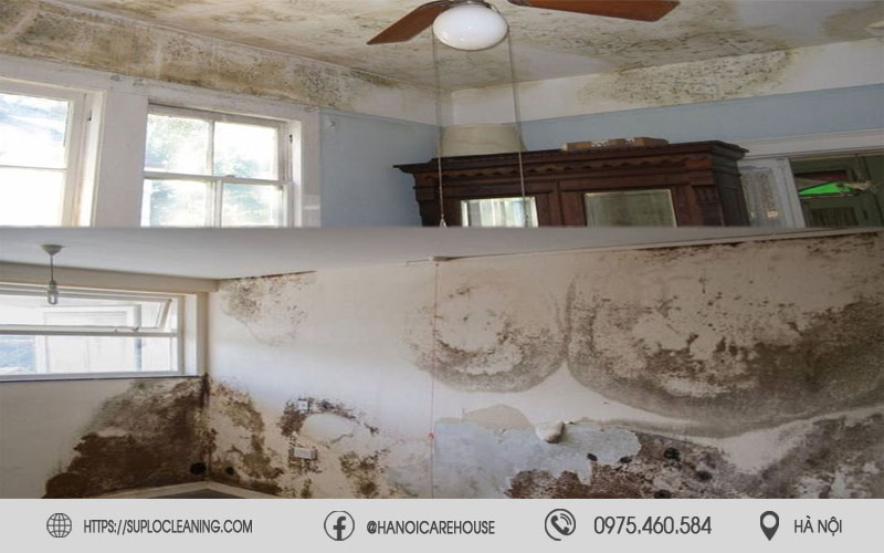 Tường bong tróc và ẩm mốc nghiêm trọng tại khu vực phố cũ quận Hai Bà Trưng Hà Nội