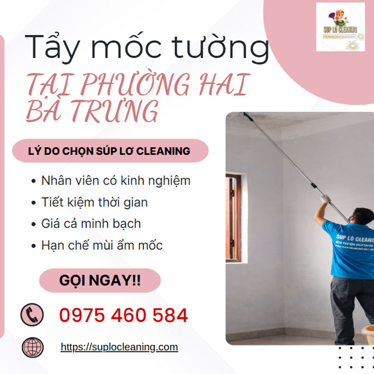 Tẩy Mốc Tường Tại Phường Hai Bà Trưng 🧴 Giải Pháp Xử Lý Triệt để, Uy Tín