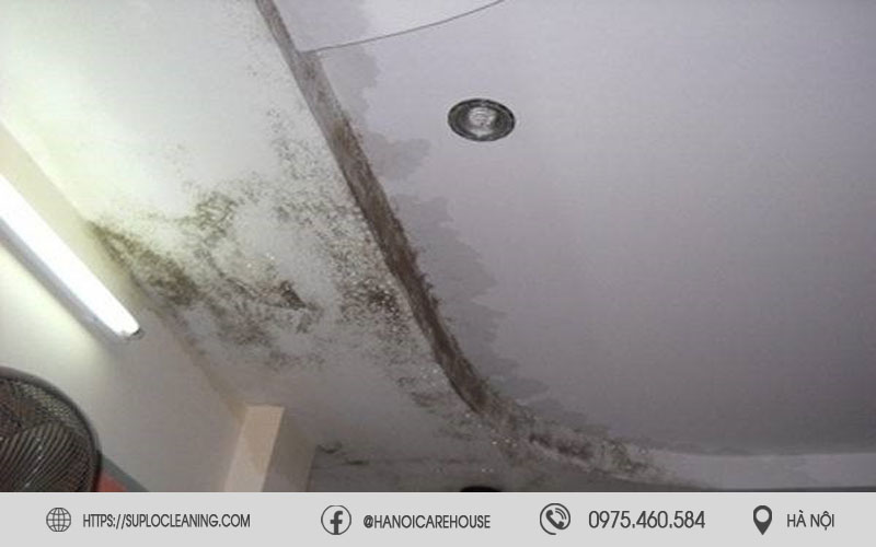 Hiện tượng nấm mốc đen lan rộng tại nhà phố khu vực Vĩnh Tuy