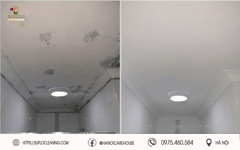 Bảng giá tẩy mốc của Súp Lơ cạnh tranh tốt nhất trên thị trường Hà Nội