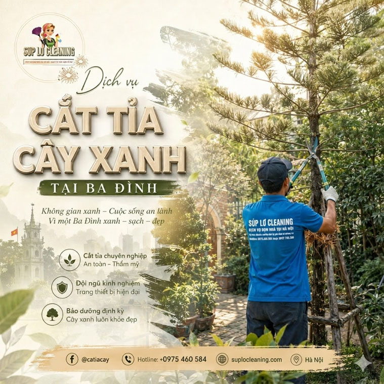 Cat Tia Cay Xanh Tai Ba Dinh