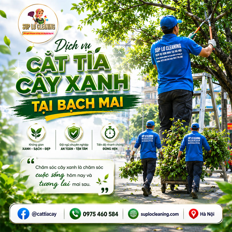 Cat Tia Cay Xanh Tai Bach Mai