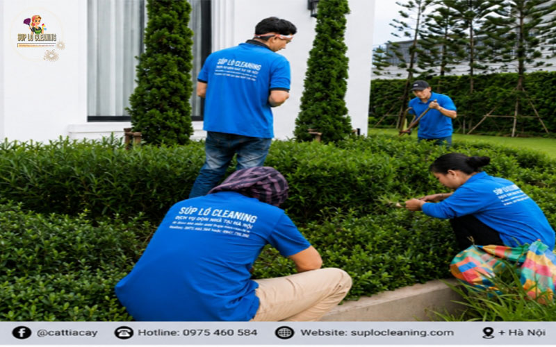 Đội ngũ thi công cắt tỉa cây xanh chuyên nghiệp tại Cửa Nam