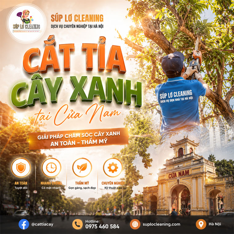 Cắt Tỉa Cây Xanh Tại Cửa Nam Uy Tín, An Toàn🌳