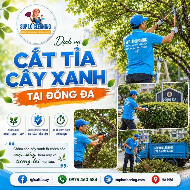 🌳 Dịch Vụ Cắt Tỉa Cây Xanh Tại Đống Đa Uy Tín, An Toàn 100% – Súp Lơ Cleaning