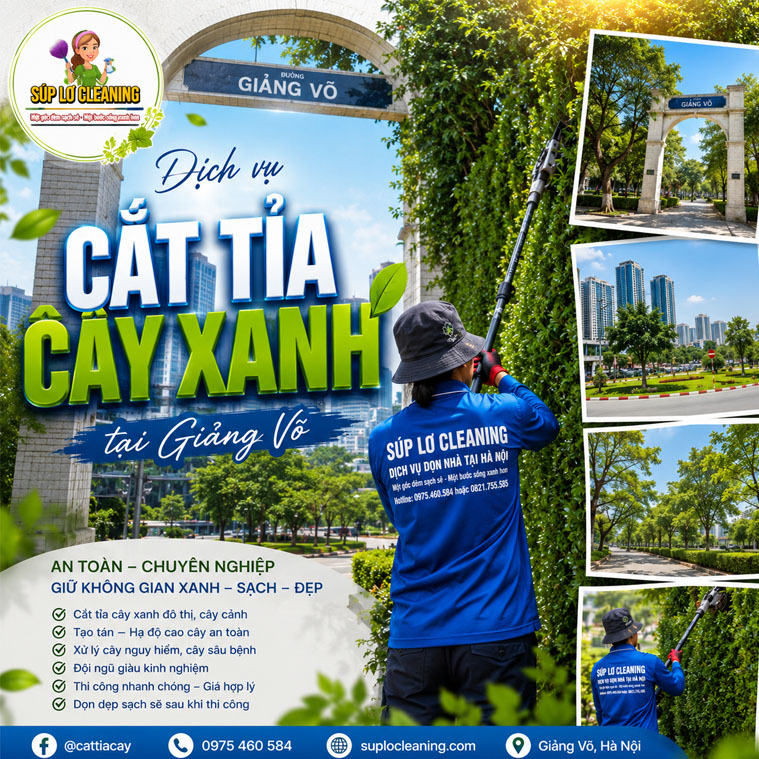 Cat Tia Cay Xanh Tai Giang Vo