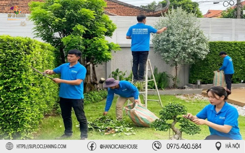 Đội ngũ Súp Lơ Cleaning tiến hành bảo dưỡng cảnh quan, cắt tỉa cây xanh an toàn