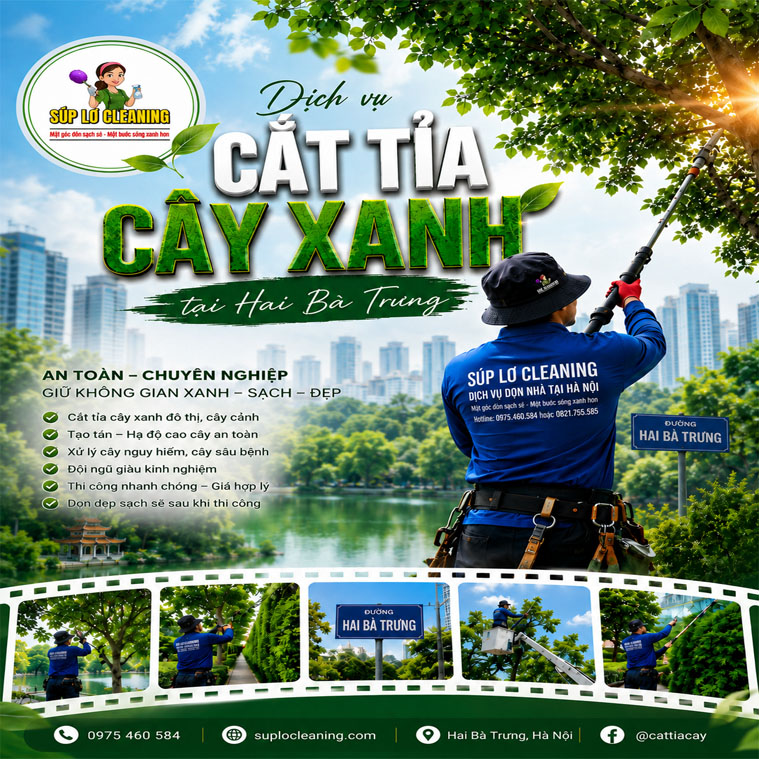 Cat Tia Cay Xanh Tai Hai Ba Trung