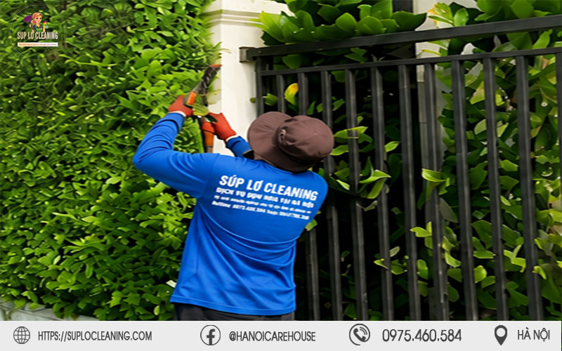 Dịch vụ cắt tỉa cây xanh chuyên nghiệp, an toàn, hiệu quả mùa mưa bão