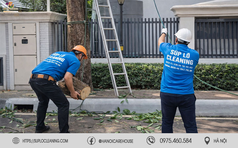 Thu gom cành lá sau khi cắt tỉa cây xanh, giữ khu vực sạch sẽ và thông thoáng