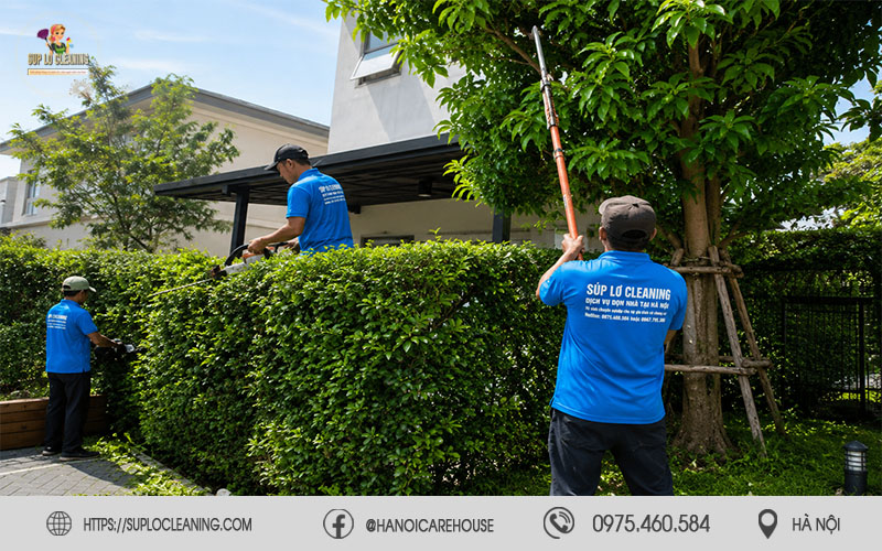Cắt tỉa cây xanh an toàn tại Ngọc Hà với đội ngũ chuyên nghiệp, thiết bị hiện đại