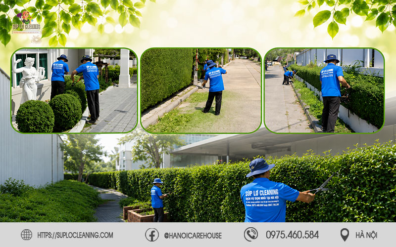 Hoạt động chăm sóc và cắt tỉa cây xanh tại Ngọc Hà trong không gian đô thị hiện đại