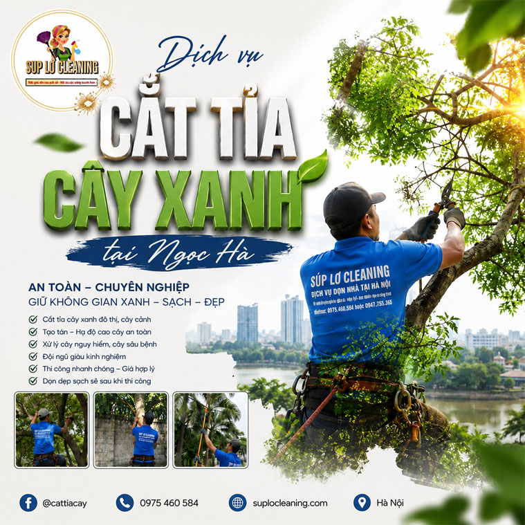 Cat Tia Cay Xanh Tai Ngoc Ha