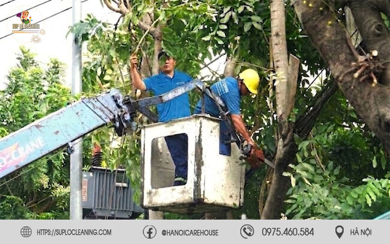 Cưa cành cây lớn tại phường Vĩnh Tuy đảm bảo an toàn mùa mưa bão

