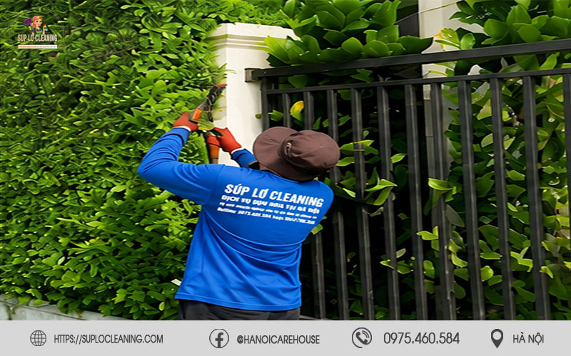 Cắt tỉa cây xanh  tại Vĩnh Tuy giúp không gian thông thoáng