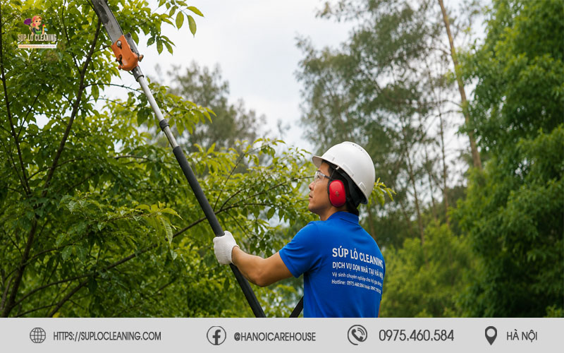 Chăm sóc và tạo tán cây xanh giúp không gian đẹp hơn tại Vĩnh Tuy