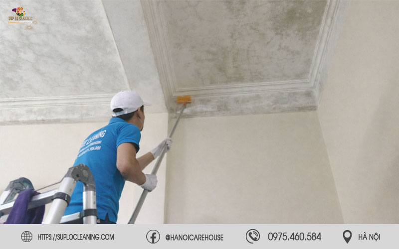 Nhân viên Súp Lơ Cleaning tẩy mốc tường tại phường Đống Đa đang thi công