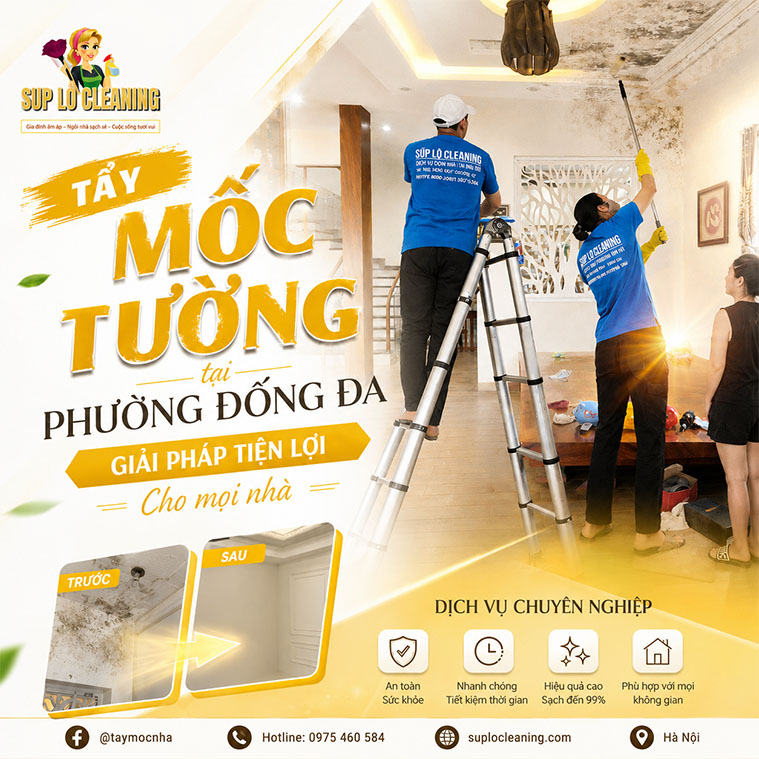 Tay Moc Tuong Tai Phuong Dong Da
