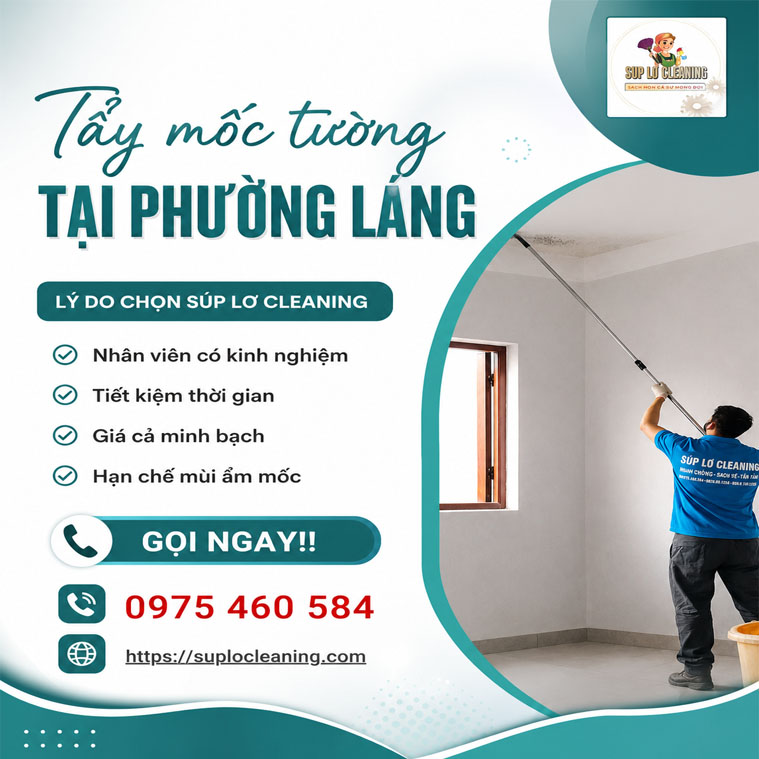 Tay Moc Tuong Tai Phuong Lang