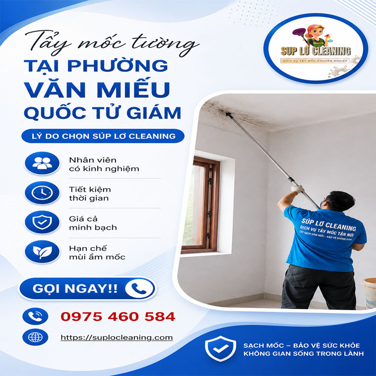 Tẩy Mốc Tường Tại Văn Miếu Quốc Tử Giám 🧹Sạch Triệt Để, Bảo Hành Dài Hạn