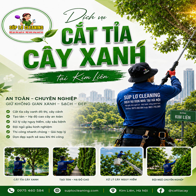 🌳 Dịch Vụ Cắt Tỉa Cây Xanh Tại Phường Kim Liên Chuyên Nghiệp, An Toàn – Súp Lơ Cleaning