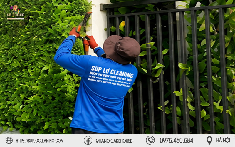 Kỹ thuật viên Súp Lơ Cleaning tỉ mỉ cắt tỉa cây xanh tại Kim Liên bằng kéo