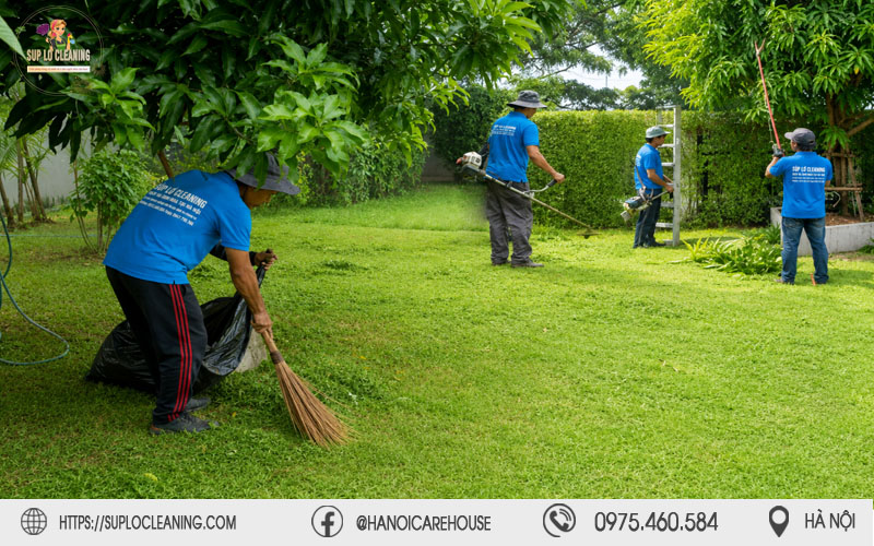 Súp Lơ Cleaning dọn dẹp vệ sinh mặt bằng sau khi cắt tỉa cây xanh tại Kim Liên