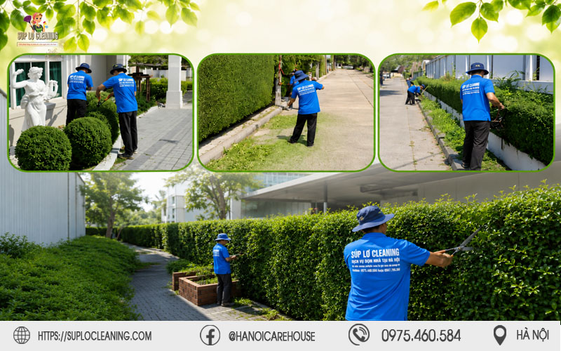 Súp Lơ Cleaning triển khai quy trình cắt tỉa cây xanh tại Kim Liên đạt chuẩn
