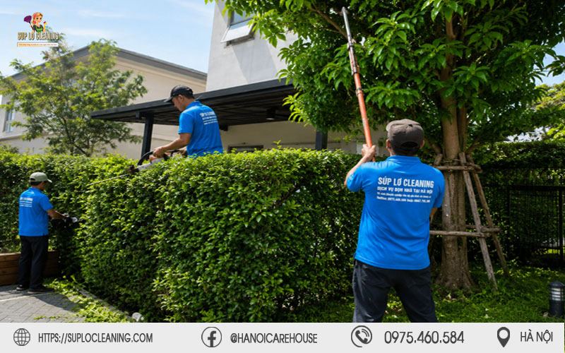 Nhân viên Súp Lơ Cleaning tích cực cắt tỉa cây xanh an toàn tại phường Kim Liên