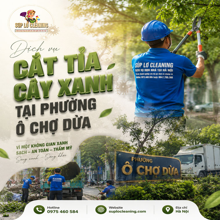 Cat Tia Cay Xanh Tai Phuong O Cho Dua
