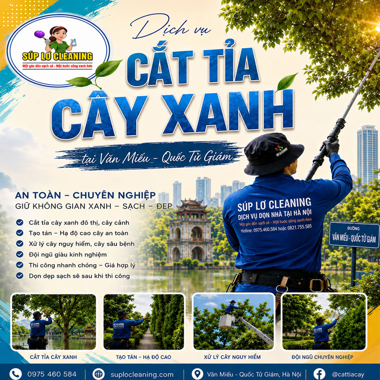 Cat Tia Cay Xanh Tai Van Mieu Quoc Tu Giam