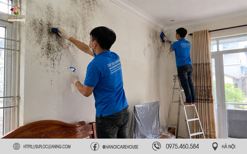 Loại bỏ nấm mốc trên tường nhà tại phường Hồng Hà
