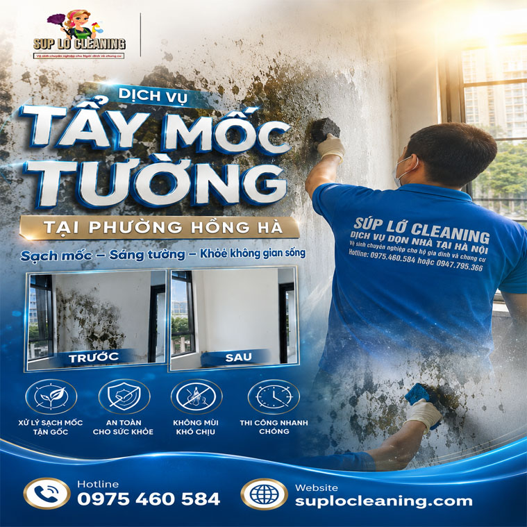 Tay Moc Tuong Tai Phuong Hong Ha
