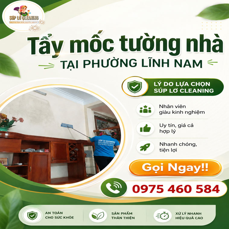 🏚️ Dịch Vụ Tẩy Mốc Tường Tại Phường Lĩnh Nam: Sạch Sâu, Triệt Để 100%