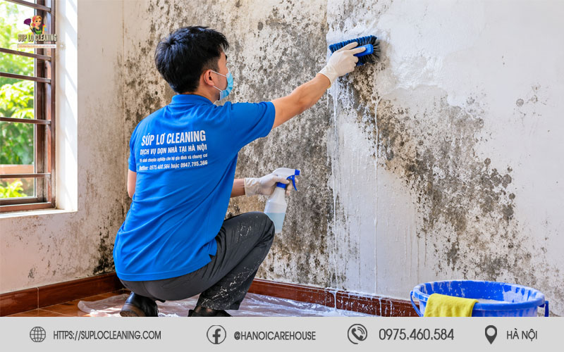 Tường nhà xuất hiện mốc đen và ẩm mốc lâu ngày tại Ô Chợ Dừa