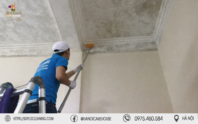 Thợ thi công lăn dung dịch diệt khuẩn xử lý ẩm mốc tường triệt để từ gốc
