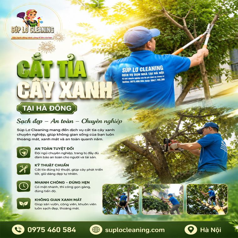 Cat Tia Cay Xanh Tai Ha Dong