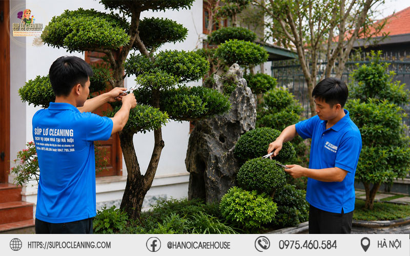 Cây cảnh được cắt tỉa gọn gàng, đẹp mắt bởi đội ngũ Súp lơ Cleaning chuyên nghiệp